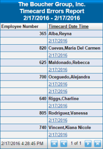 Timecard Errors Report